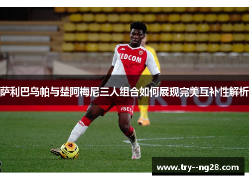 萨利巴乌帕与楚阿梅尼三人组合如何展现完美互补性解析