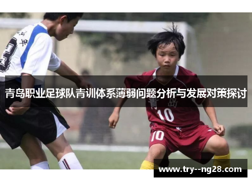 青岛职业足球队青训体系薄弱问题分析与发展对策探讨