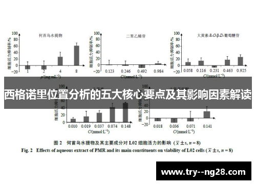西格诺里位置分析的五大核心要点及其影响因素解读 西格诺里位置分析的五大核心要点及其影响因素解读