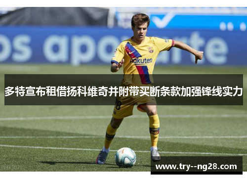 多特宣布租借扬科维奇并附带买断条款加强锋线实力