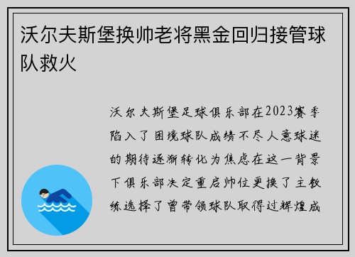 沃尔夫斯堡换帅老将黑金回归接管球队救火